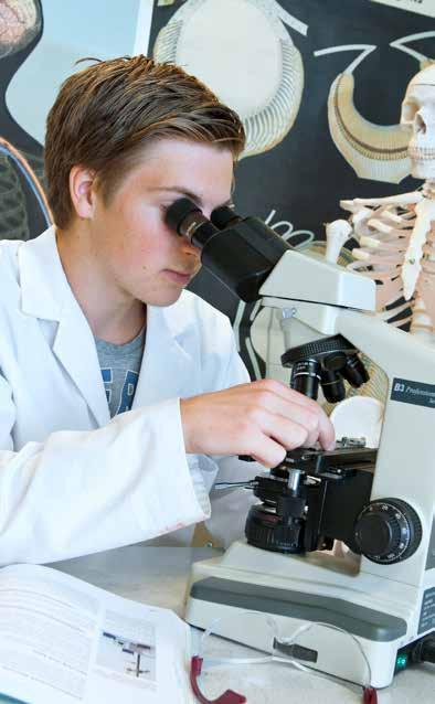 HÖGSKOLEFÖRBEREDANDE PROGRAM >> Ekonomiprogrammet >> Estetiska programmet >> Humanistiska programmet >> Naturvetenskapsprogrammet >> Samhällsvetenskapsprogrammet >> Teknikprogrammet