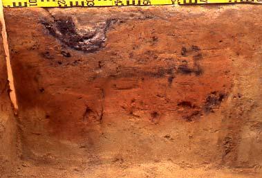 5) Anläggning 4 i V profil syns tydligt som en oregelbunden nedgrävning, dess nedre halva bestående av en rödbränd färgning