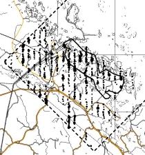 Som exempel på linjetaxeringsresultat i kartform visas nedan de två talrikaste arternas, lövsångare och bofink, utbredning i Forsmarksområdet 2002. Figur 5.