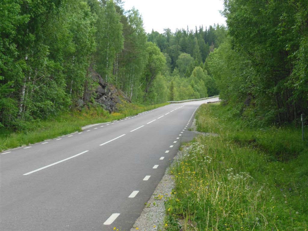 Högvuxen vegetation I den mer högvuxna vegetationen noterades endast hökfibblor och midsommarblomster. Invasiva arter samt ogräs Längs sträckan finns det enstaka exemplar av kanadensiskt gullris.