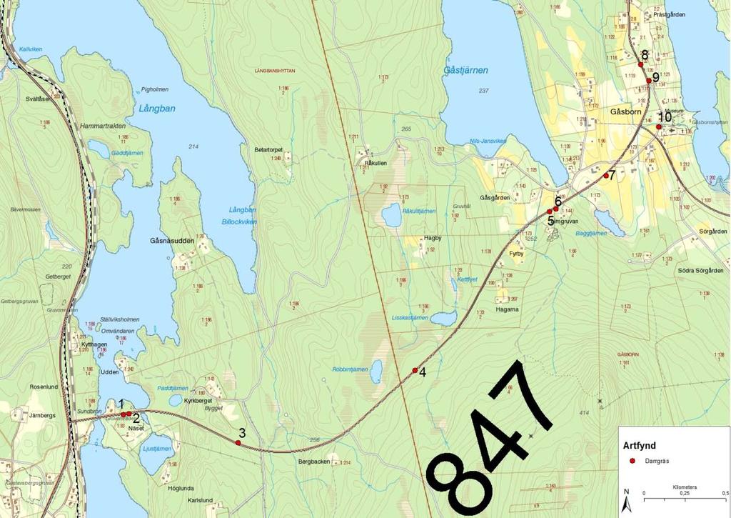 2. Darrgräs Löpnr Namn Nord Ost Antal plantor Vägkant Datum 1 darrgräs 6639290 1414222 syd 2012-07-26 2 darrgräs 6639294 1414255 syd 2012-07-26 3 darrgräs 6639111 1414917 10 strån nord 2012-06-21 4