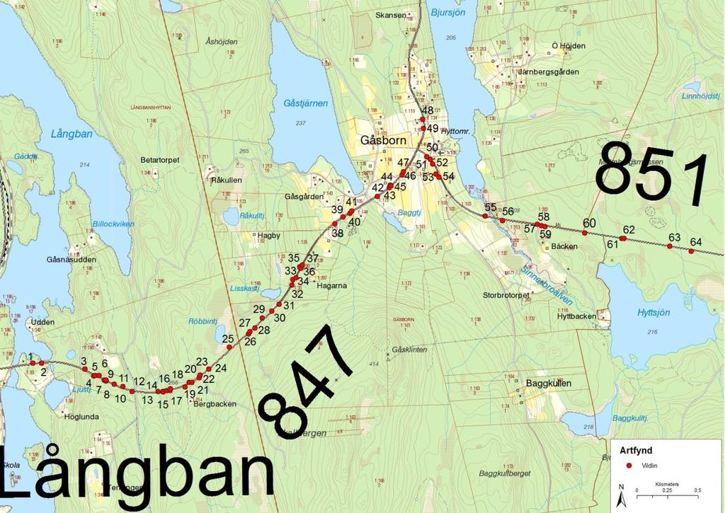 46 vildlin 6640801 1417256 25 ex syd 2012-06-28 47 vildlin 6640827 1417268 5 ex nord 2012-06-28 48 vildlin 6641252 1417429 15 ex nord (v) 2012-06-28 49 vildlin 6641177 1417438 nord 2012-08-04 50