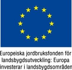 SAMMANFATTNING Syftet med den regionala handlingsplanen är att styra länsstyrelsens arbete med prioritering och urval av ansökningar för att bidra till EU 2020 - för en smart och hållbar ekonomi med