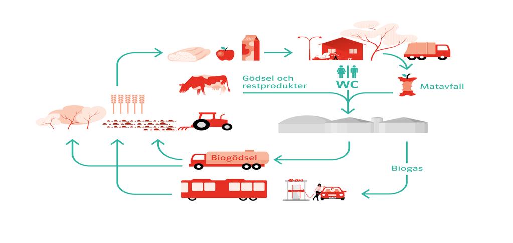 Organiskt avfall blir till biogas och