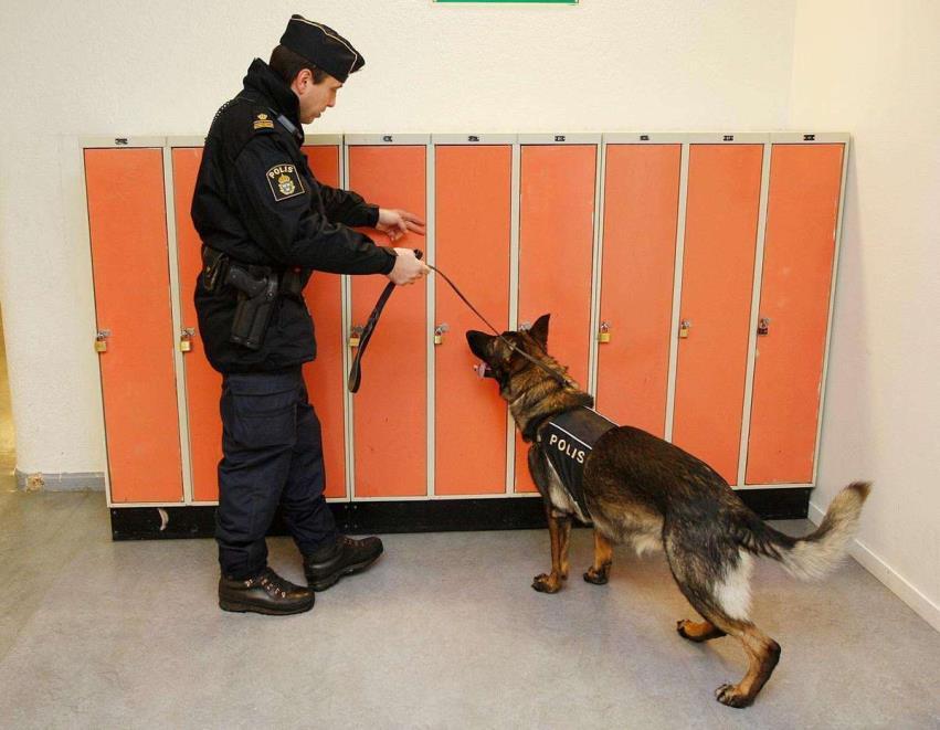 vara en drogfri plats, fri från narkotika. Syftet med söket är inte att upptäcka brott, utan att förebygga att brott sker.