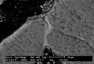 VÄRMEFORSK överföring av kalium i gasfas via sorption av lermineraler till mindre problematiska föreningar vara av generellt underordnad betydelse vid sameldning med svensk torv.