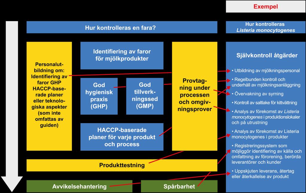 Del VII EGENKONTROLL Egenkontrollplaner spelar en viktig roll vid upprättande av livsmedelssäkerhetssystemet (FSMS Food Safety Management System) som presenteras i den här riktlinjen.