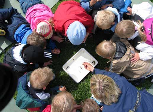 Fredriksdal museer och trädgårdar: Här undersöks småkryp med Fredriksdals pedagoger Foto: Sven Olof Larsén Vad innehåller en regional kulturplan?