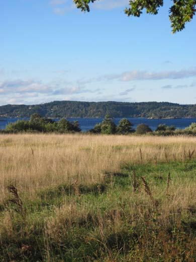 13 PLANFÖRSLAGET - FÖRUTSÄTTNINGAR, FÖRÄNDRINGAR OCH KONSEKVENSER Mark Natur, vegetation och terräng Förutsättningar: Planområdet ligger i det så kallade Fräknestrandsområdet som utgörs av ett