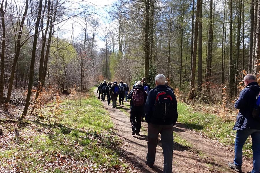 Vårvandring tisdag den 24 april Årets vårvandring går programenligt av stapeln den 24 april och vi kommer den här gången att åka några mil västerut till en trakt som vi hoppas ni kommer att trivas i.