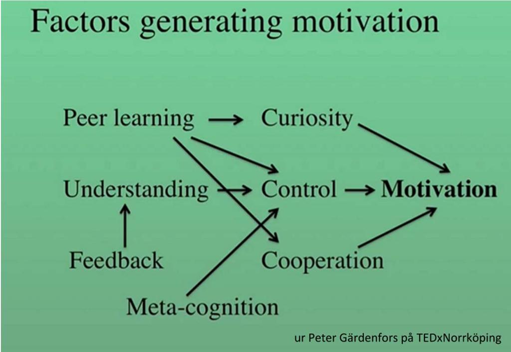 Figur 2: Faktorer som gynnar elevers motivation enligt Gärdenfors (2012). Skolans organisation har förändrats väldigt lite över tid.