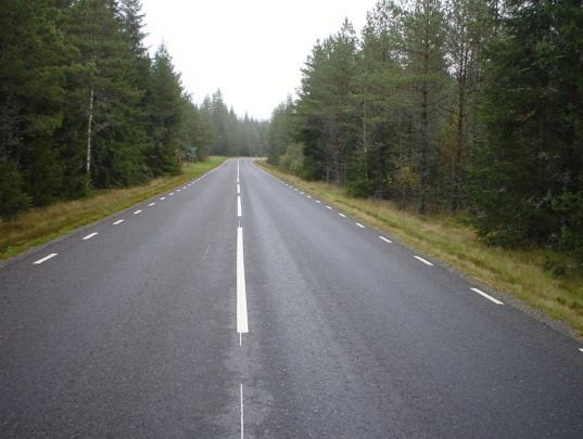 stensläpp, upplevs ha något ljusare yta än tidigare, mekaniska avtryck efter skogsmaskiner, lokalt stensläpp i mittskarv,