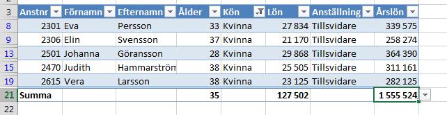 beräknar summan av en kolumn eller medelvärdet av en kolumn. I exemplet nedan summeras kolumnerna för månadslön och årslön och för kolumnen Ålder så visas medelålder.