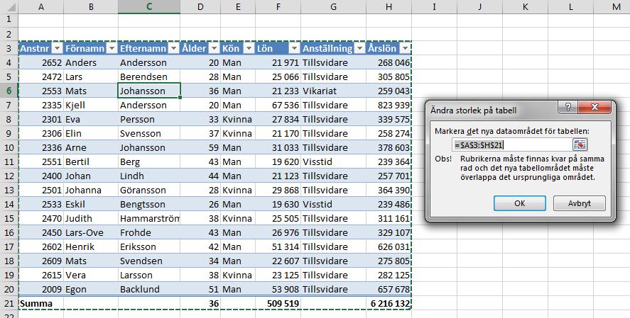 Sista kolumnen så appliceras fetstil för dessa kolumner. Sista knappen i gruppen Tabellformatsalternativ är Filtreringsknapp. Här har du möjligheten att stänga av och sätta på autofiltret.