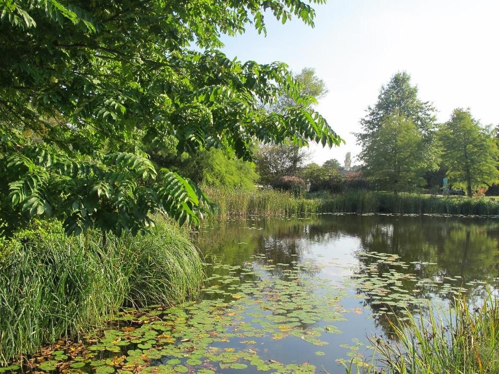 STÖDJANDE EKOSYSTEMTJÄNSTER vattenmiljö Värdekärna Landskapssamband Habitat-livsmiljö