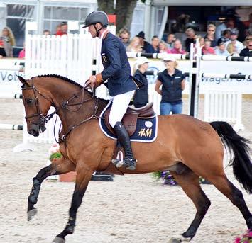 Resa till Sweden international horseshow Sweden International Horse Show 2-3 december - vill du följa med!?! Vi åker 7.30 lördag morgon från Sollebrunn och hämtar upp övriga på Överby Köpcenter.