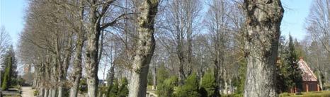 Träd Kring begravningsplatsens äldsta del växer en trädkrans och fyra dubbelsidiga alléer löper in mot kapellet.