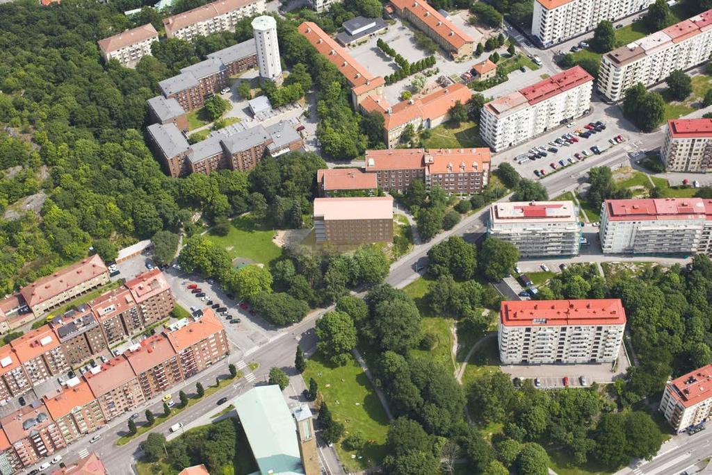 Högåsberget, Renströmsparken Näckrosdammen Johannebergsparken Wijkanderplatsen Grönstråket mellan Näckrosdammen och Chalmers är utpekat i ett flertal