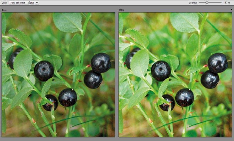 4 Guidad redigering Ljusstyrka och kontrast Om fotot har blivit över- eller underexponerat kan du använda denna guide för att korrigera ljusstyrka och kontrast i fotot. 1.