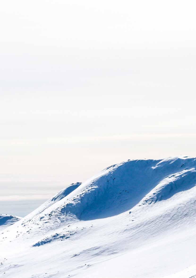 Skribenter: Per-Olov Wikberg, nationell samordnare vid Naturvårdsverkets Fjällsäkerhetsråd Stefan Mårtensson, lavinexpert Naturvårdsverket Petter Palmgren, lavinexpert Naturvårdsverket Mattias