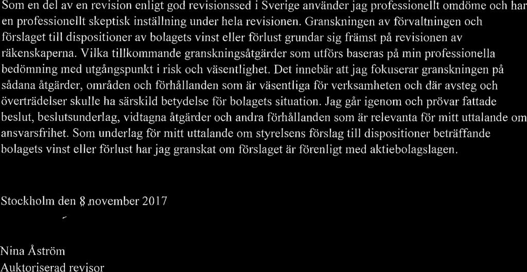 Som en del av en revision enligt god revisionssed i Sverige använder jag professionellt omdöme och har en professionellt skeptisk inställning under hela revisionen.