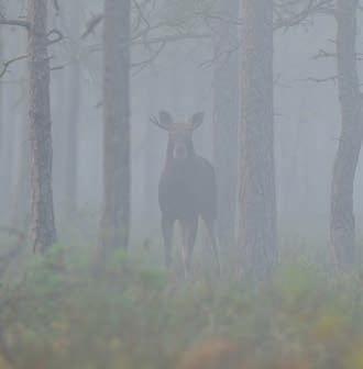 Den största fördelen är självklart närheten till Stockholms centrala delar där våra flesta kunder finns, fortsätter Michel.