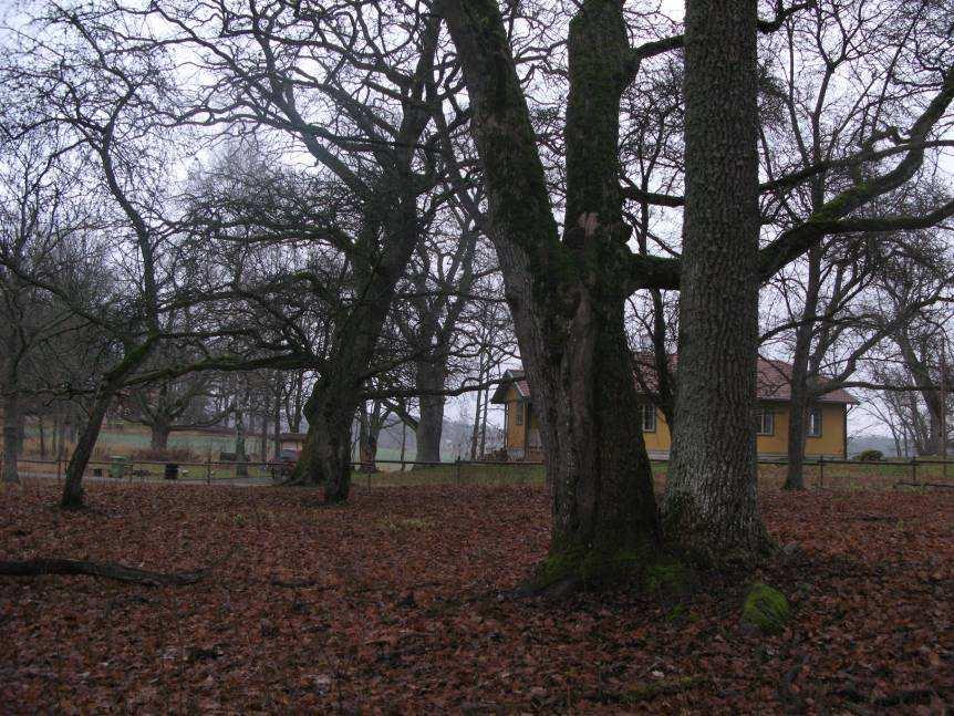 19 Hästhagen och tomterna intill Berörda fastigheter: Krusenberg 1:2, Krusenberg 1:10, Krusenberg 1:15 Bild 10. Hästhagen och tomterna därikring.