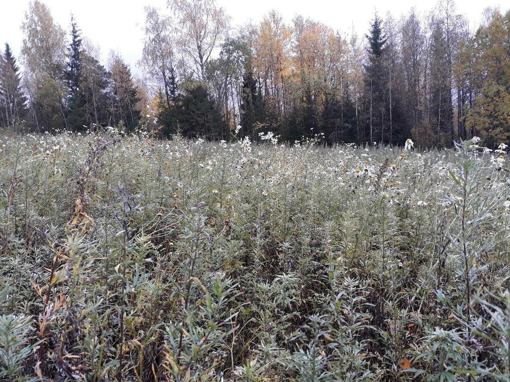 Skiftesspecifika åtgärder, forts Miljövårdsvallar/Naturvårdsåkrar