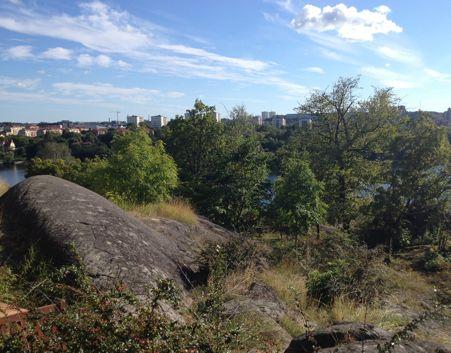 naturmark och skapar naturliga övergångar