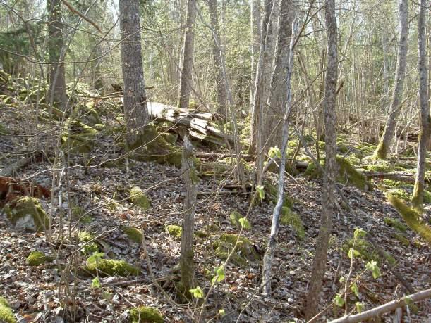 Brokinds naturreservat Brokinds naturreservat inventerades med fyra fönsterfällor i aspar år 2006. Reservatet består av fyra geografiskt skilda områden. I två av dessa sattes fönsterfällor upp.