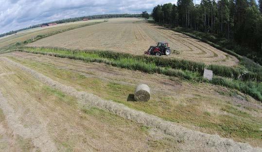 Betesmarkerna ger många miljö- och samhällsnyttor De svenska betesmarkerna är en av världens artrikaste miljöer.