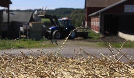 Se klimatfrågan ur ett helhetsperspektiv I klimatdebatten lyfts nötkreaturen fram som ett problem.