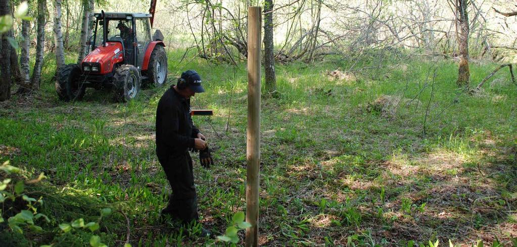 Foto: Pär Eriksson Upplandsstiftelsen bevarar och vårdar naturen Upplandsstiftelsen arbetar främst med inventeringar, skötselprogram och