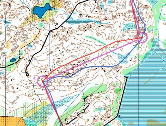 H21, 3-4 Även om ingen av dessa linjer avviker mycket från strecket, förlorar ändå blått 35 sekunder på denna sträcka.