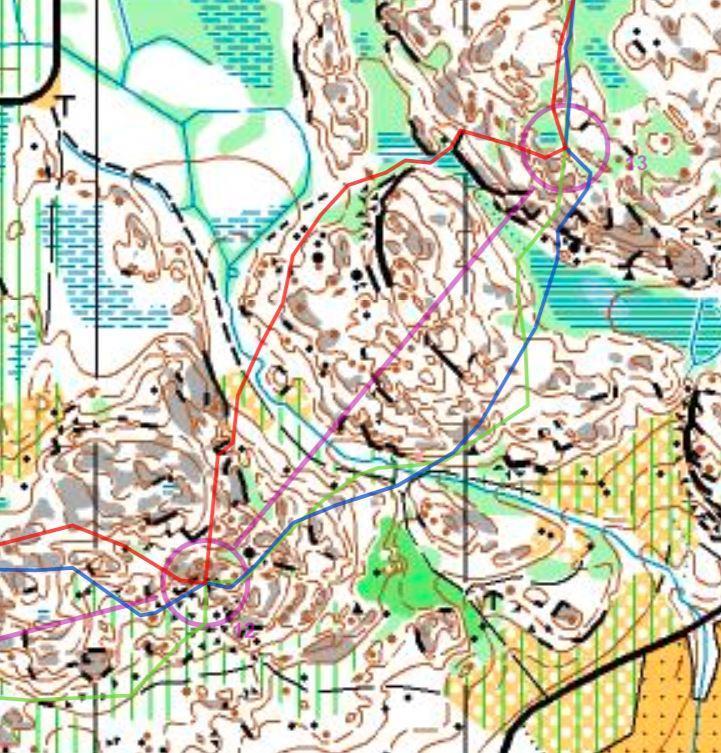 H21, 12-13 Även om höjdskillnaderna i området söder om TC inte är så stora, kan löpbarheten på de mest detaljerade partierna vara nedsatt. Därför lönar det sig att runda på exemplet bredvid.