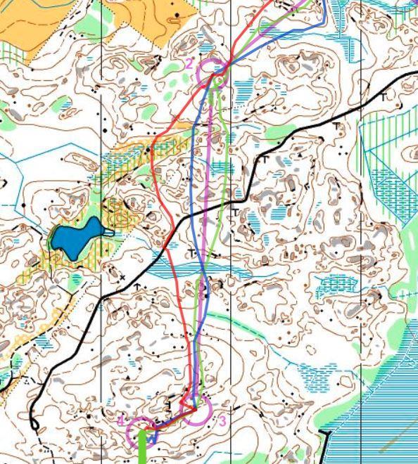 H20, 2-3 Här följer sedan en del exempelavstånd från den södra delen av terrängen, från Ankkurirastits rutthärvel 2005.