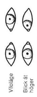 Fråga 117 Våra ögon kan flyttas runt i ögonhålan med hjälp av 6 stycken muskler. Dessa muskler styrs av kranialnerver.
