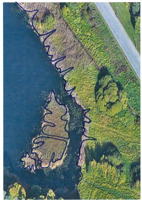 Delområde 15: Vassöar och vassbården i sjön Vassbestånd i västra och östra delen av Råcksta träsk. Hela sjön muddrades på 70-talet.