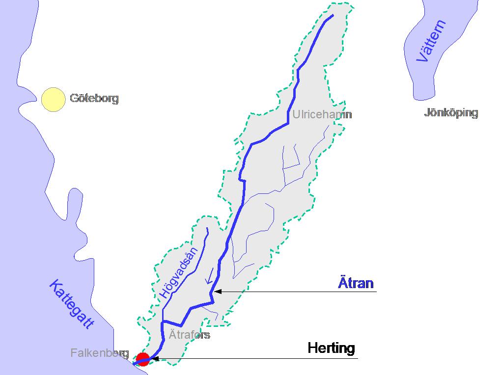 STUDIER AV ÅLBESTÅND OCH ÅLMIGRATION MED FISKRÄKNARE 3.4 ÄTRAN, HERTING Ätran som är ett av västkustens större vattendrag mynnar i Västerhavet vid Falkenberg.