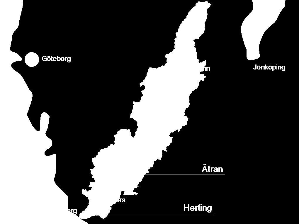 Historiskt har Ätran varit ett viktigt ålvattendrag på den Svenska västkusten.