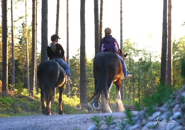 Sida 2 PLANLÄGGNINGSÖVERSIKT 2018 Kimitoöns skärgård är delad i 4 olika strandgeneral och stranddelgeneralplaner. Revideringen av Dragsfjärds östra skärgårds stranddelgeneralplan är fem före färdig.