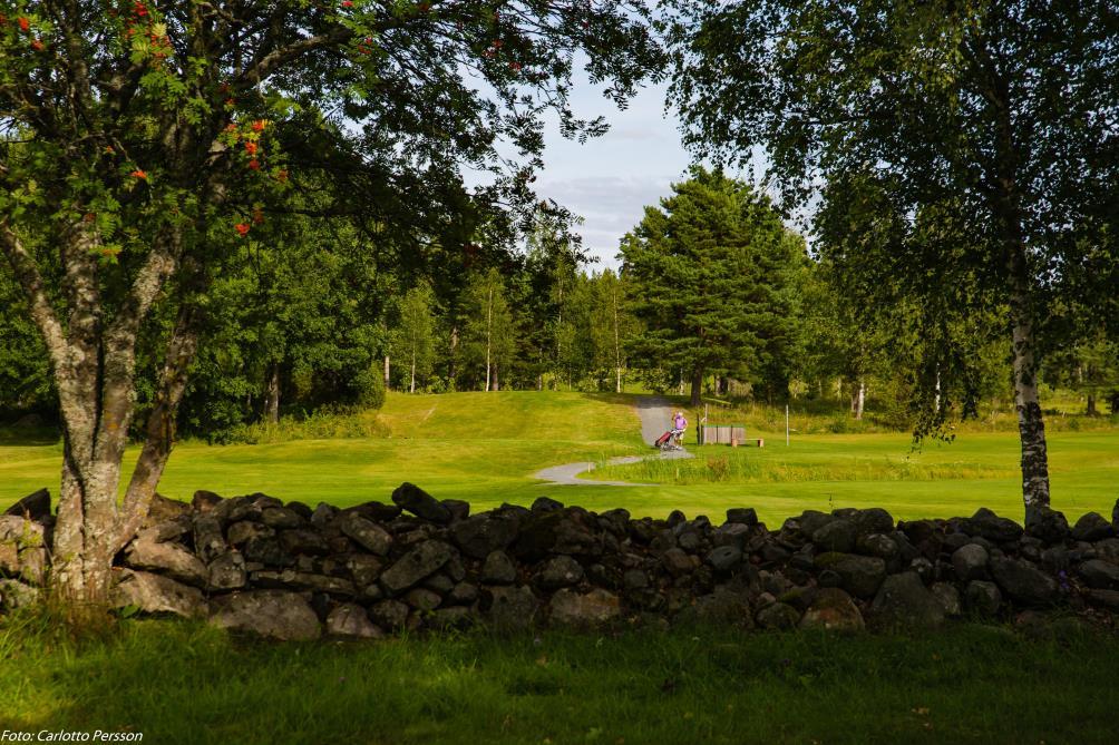 Områdets historia Östhammars- och Öregrundsområdet har en mycket spännande historia och geografi och golfklubben ligger mitt i detta område.