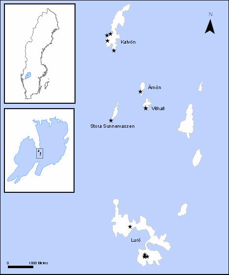 Material och metoder Områdesbeskrivning Det undersökta området (3,4 km 2 ; Fig 1) är en grupp av öar mitt i Sveriges största insjö, Vänern (58 47 N, 13 15 E).