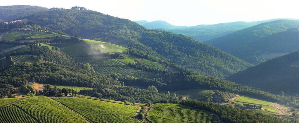 Castello d Albola Chianti Classico DOCG Nr 1050247 Pris 135,10 kr 75cl 6/kolli Producent Castello d Albola Druvor Sangiovese 95% och Canaiolo 5% Ursprungsland Italien Distrikt Toscana Välbalanserad