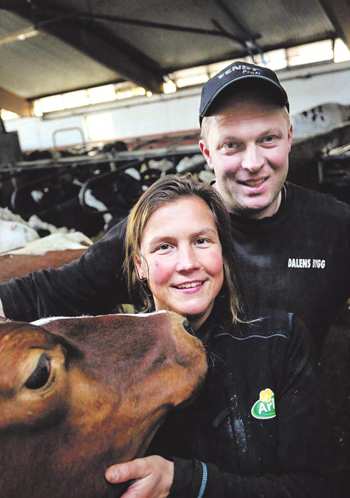 Text: Sofia Barreng Foto: Sofia Ernerot Kronoberg bjuder på ett blandat landskap. Skogarna dominerar, men mellan dem finns prima åkermark med perfekta förhållanden för vallproduktion.