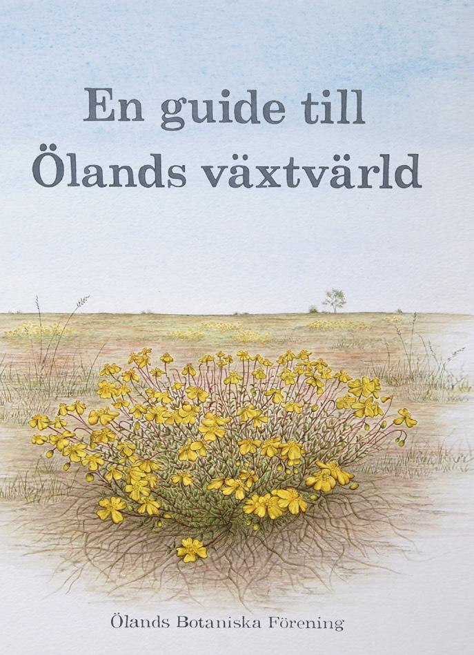 En guide till Ölands växtvärld Krutbrännaren 1 (24) 2015 Nu kan du köpa denna nyutkomna bok där 67 besöksmål presenteras med tonvikt på de kärlväxter som du kan finna där.