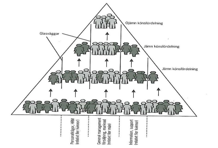 Figur 2: Illustration glasväggar. Källa: Boschini (2004)