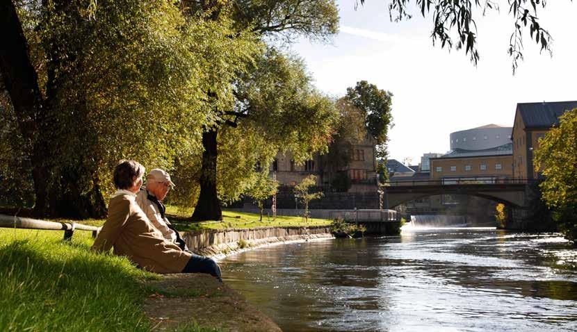 Riktlinje för Norrköpings kommuns arbete med