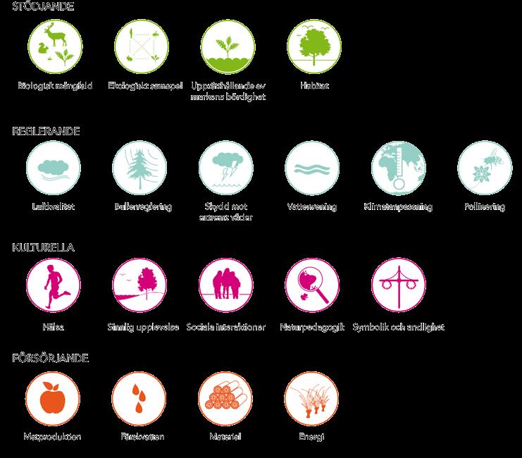 Ekosystemtjänster delas in i fyra olika kategorier.