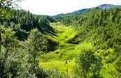 Through the kingdom of bears Whether you are starting from Strömsund or Vilhelmina you ll travel through forests and mountain Sami cultural districts before you reach the tree line.